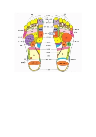 足底按磨的穴位对应器官图解