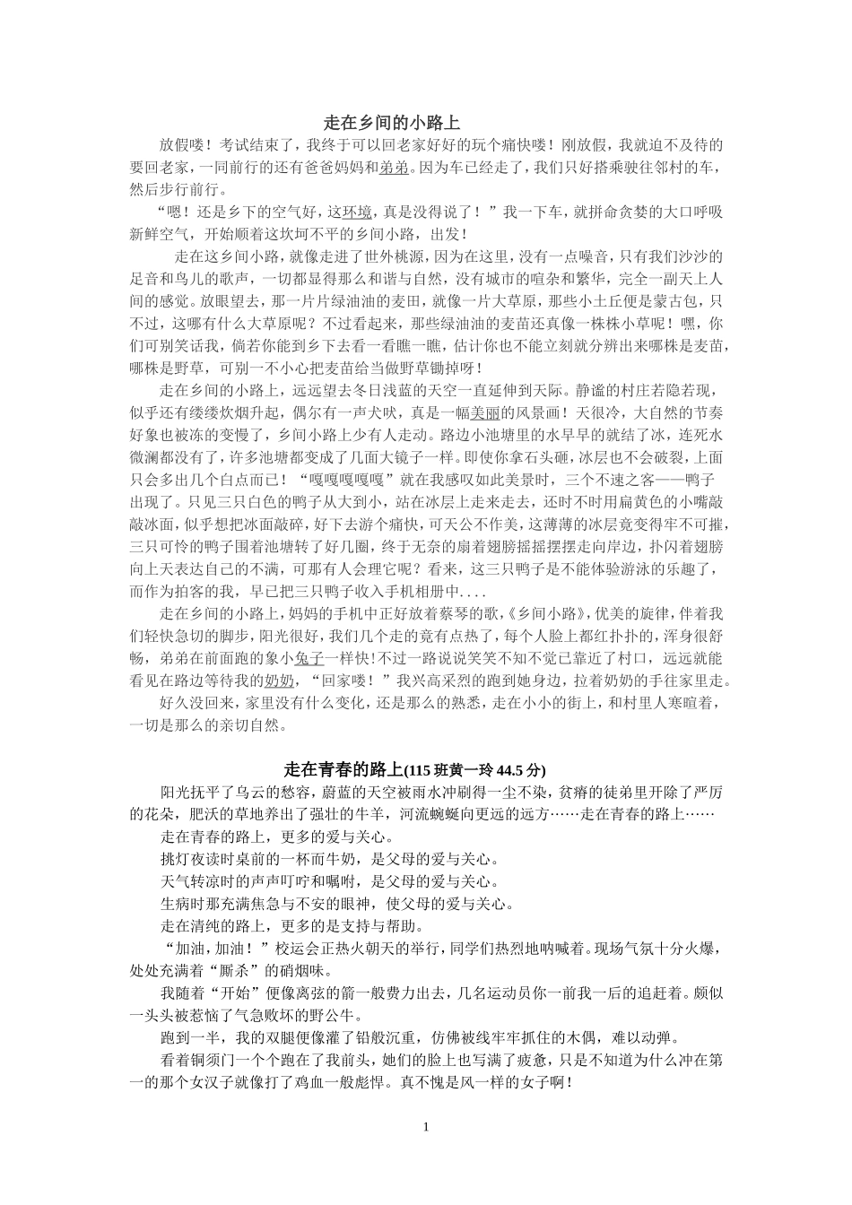 走在--的路上   优秀考作文_第1页