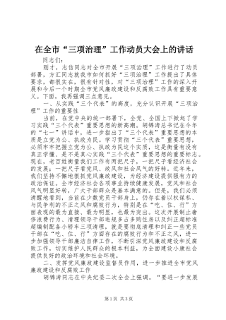 在全市“三项治理”工作动员大会上的讲话发言