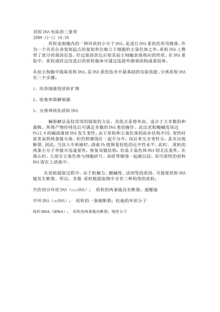 质粒电泳的条带