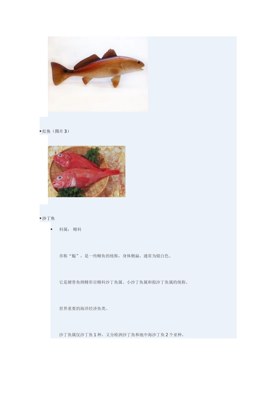西沙群岛的鱼_第3页
