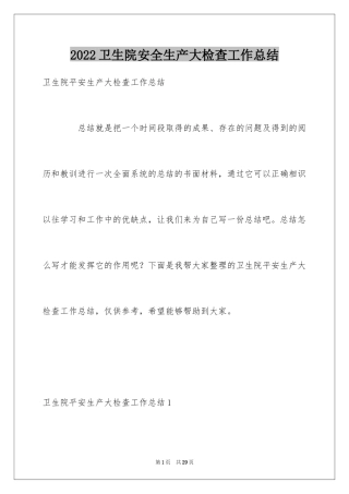 2024卫生院安全生产大检查工作总结