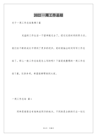 2024一周工作总结_38