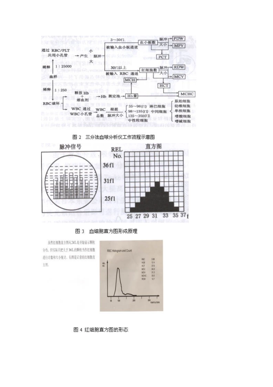 血细胞直方图的临床应用_第3页