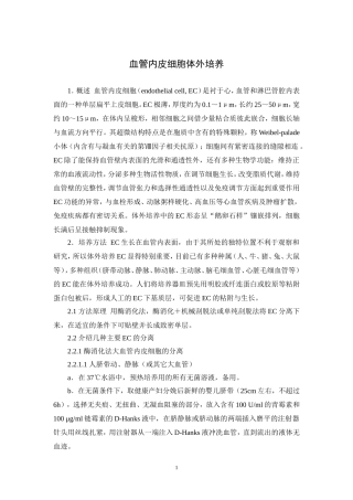 血管内皮细胞体外培养(赵)