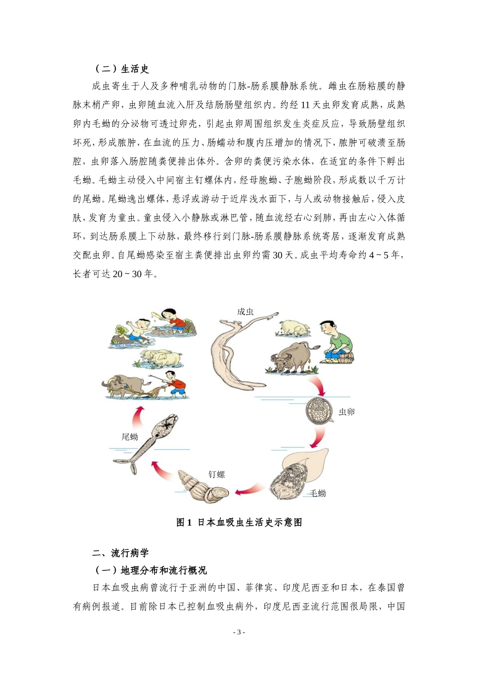 血吸虫病基本知识_第3页