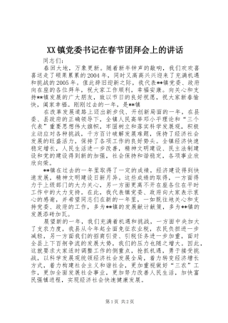 XX镇党委书记在春节团拜会上的讲话发言