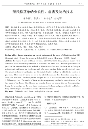 萧氏松茎象幼虫食性_危害及防治技术_林仲桂