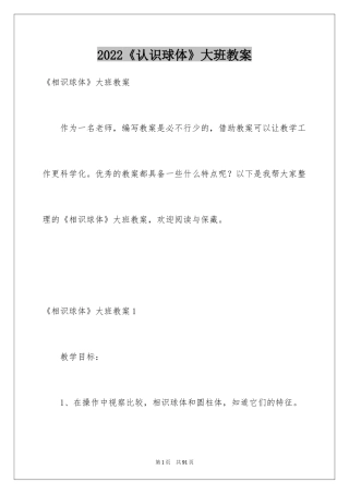 2024《认识球体》大班教案_3