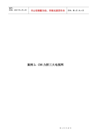 案例2CNN力拼三大电视网