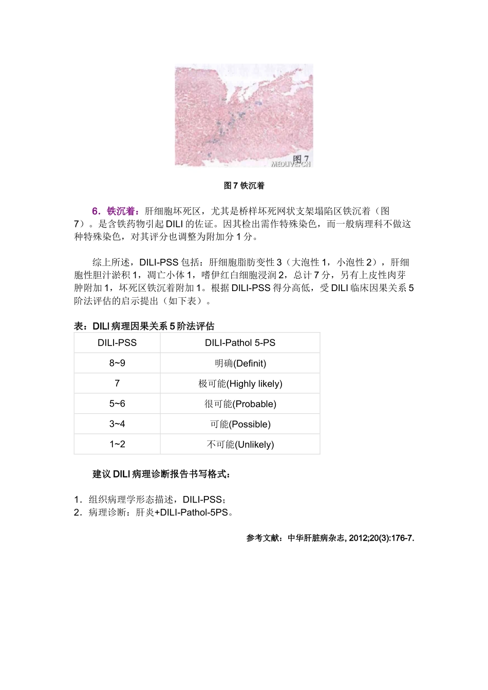 药物性肝损伤组织病理学评分_第3页