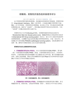 药物性肝损伤组织病理学评分