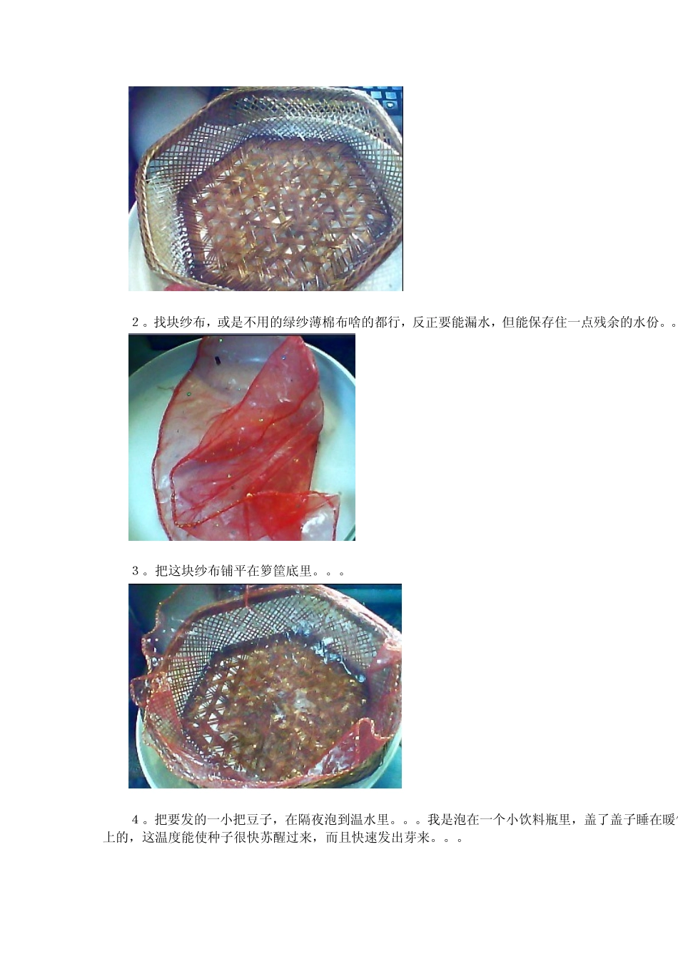 自己动手生豆芽_第2页