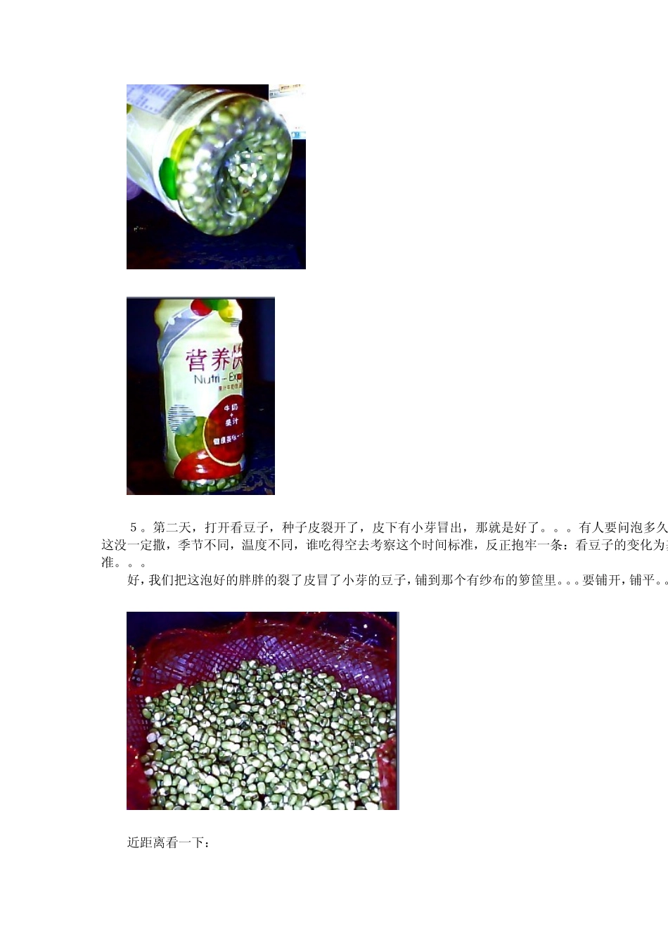 自己动手生豆芽_第3页