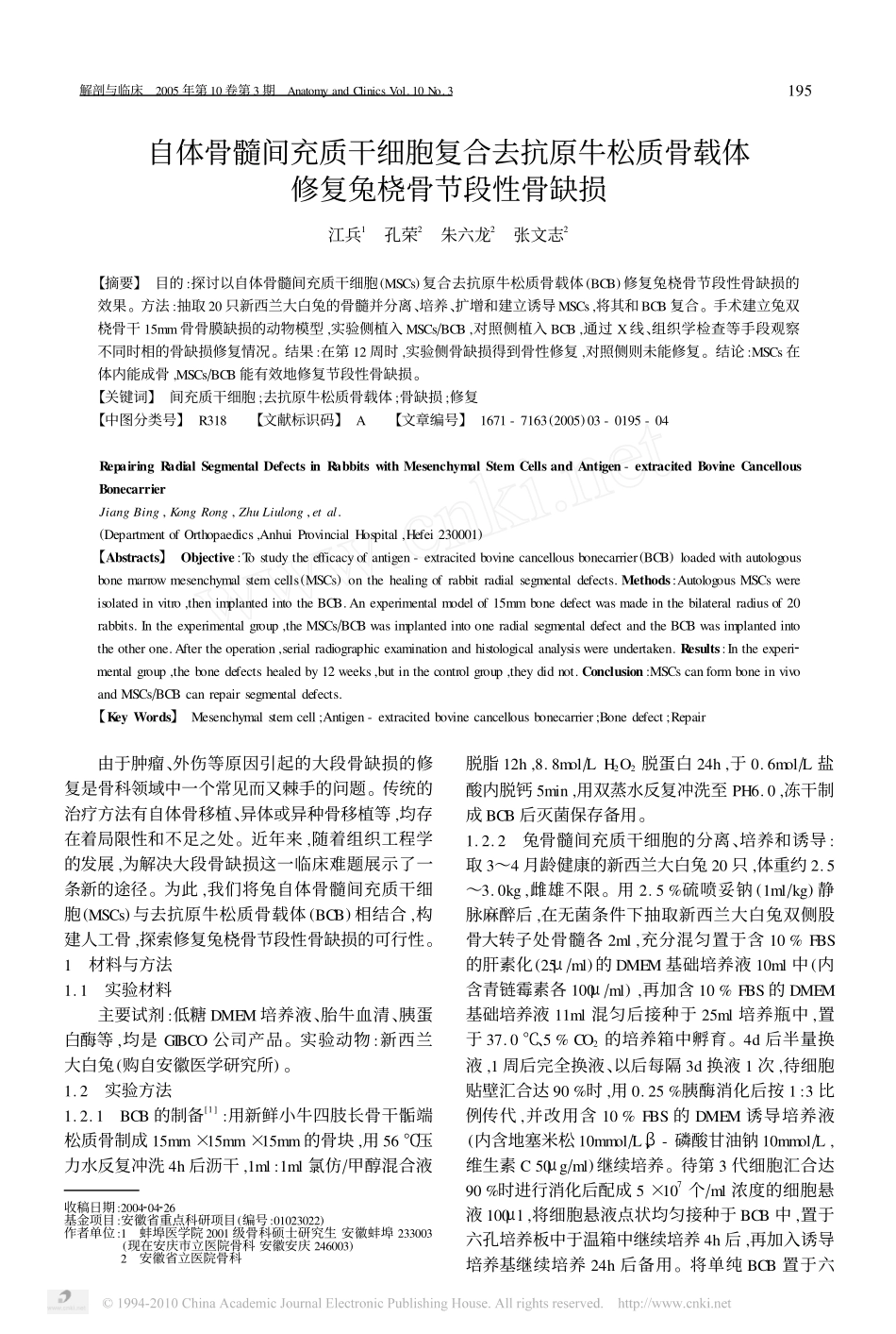 自体骨髓间充质干细胞复合去抗原牛松质骨载体修复兔桡骨节段性骨缺损_江兵_第1页