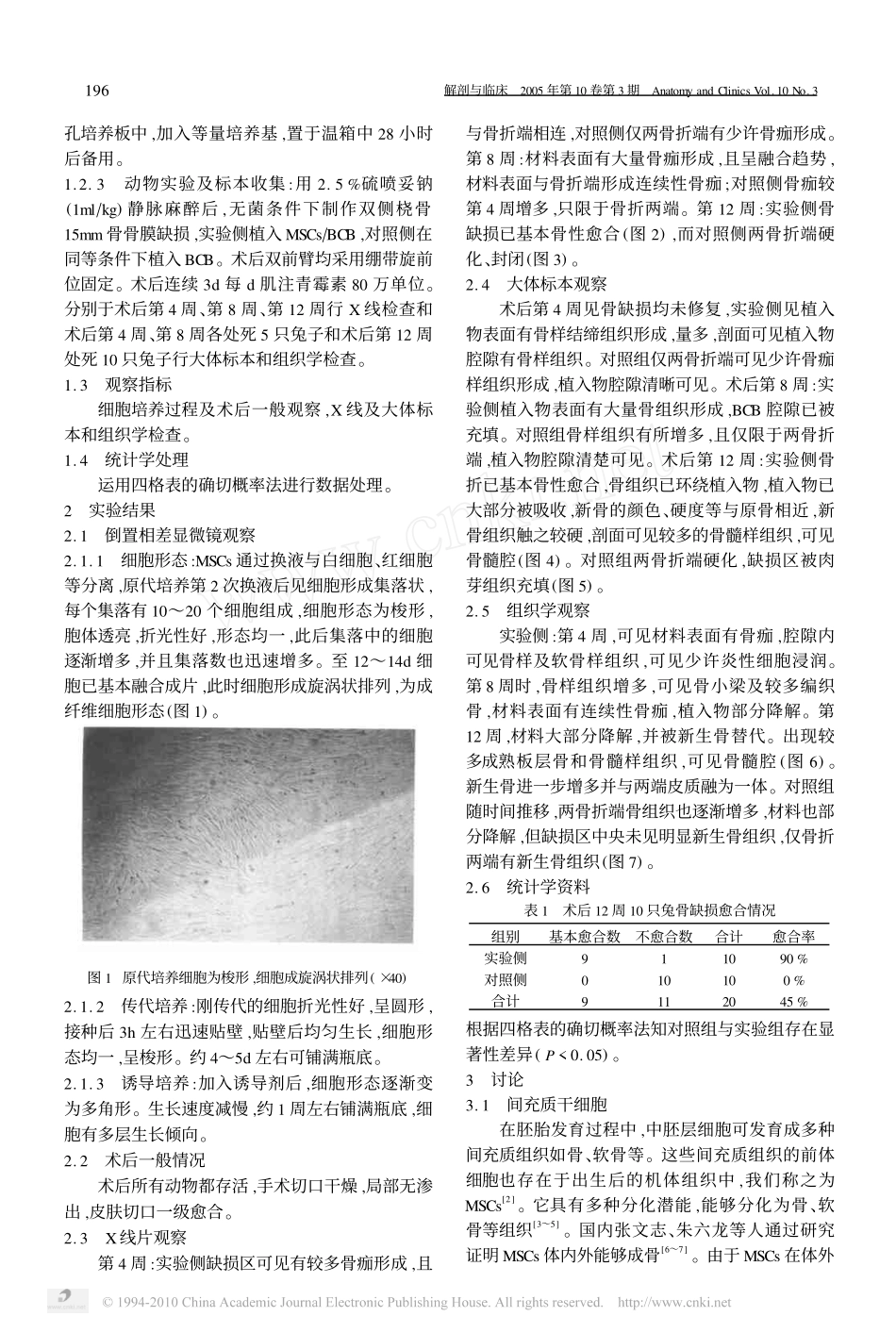 自体骨髓间充质干细胞复合去抗原牛松质骨载体修复兔桡骨节段性骨缺损_江兵_第2页