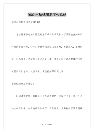 2024出纳试用期工作总结_30