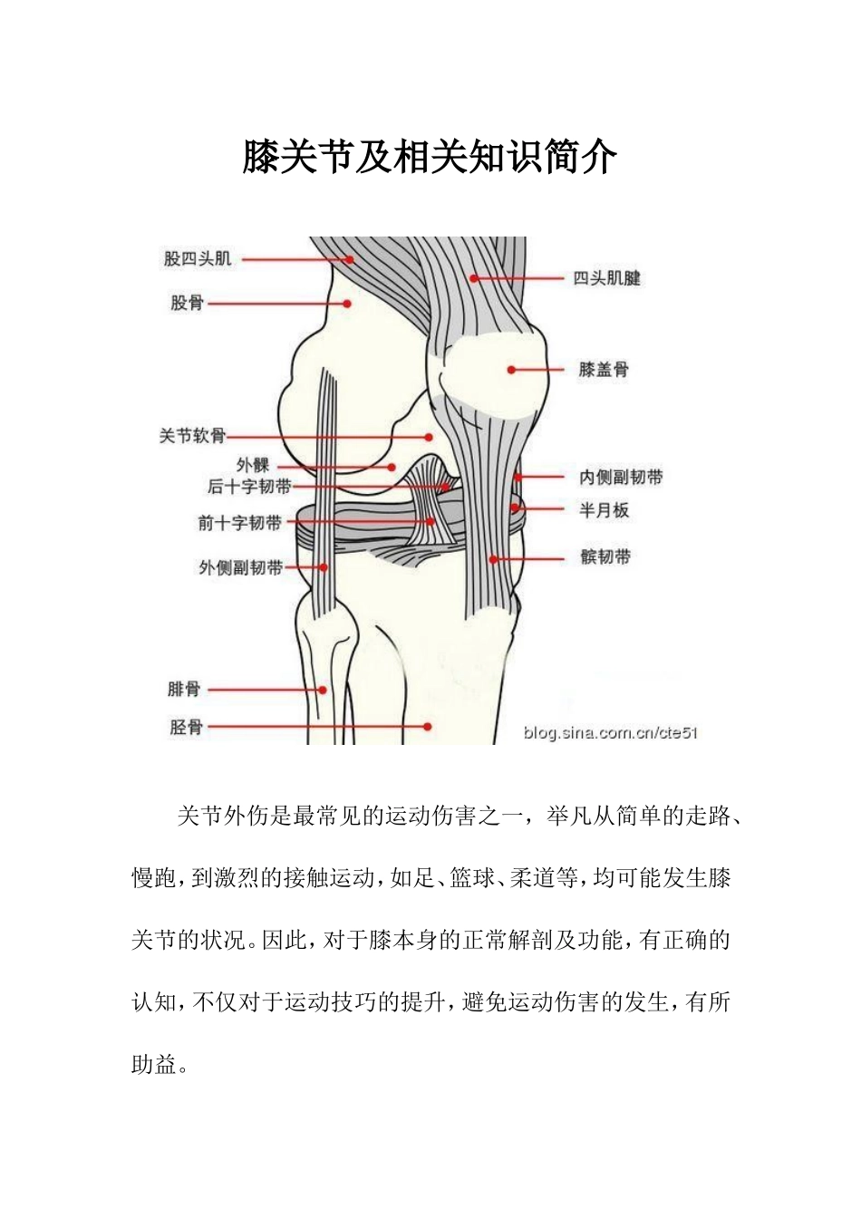 膝关节及相关知识简介_第1页