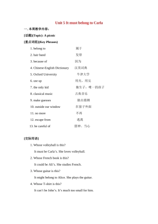 九年级英语 Unit 5   It must belong to Carla3 教案人教版