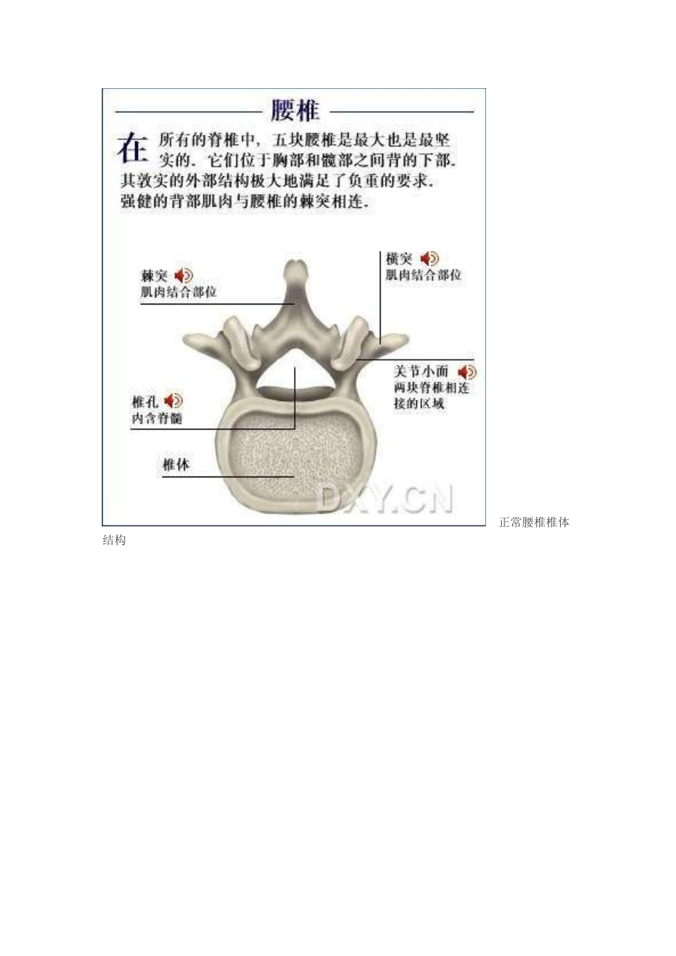 腰椎间盘突出自疗方法_第3页