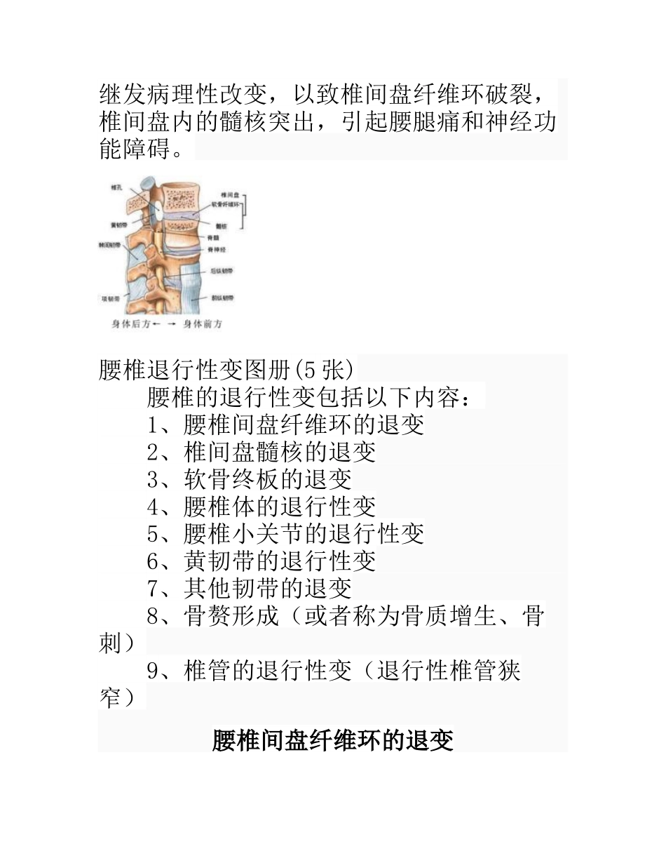 腰椎退行性变_第2页