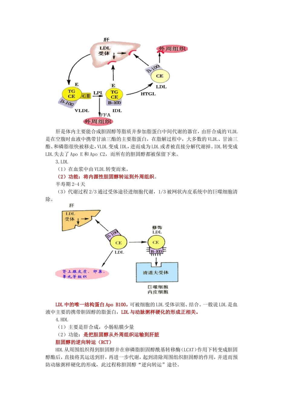 脂代谢及高脂血症的检查_第3页