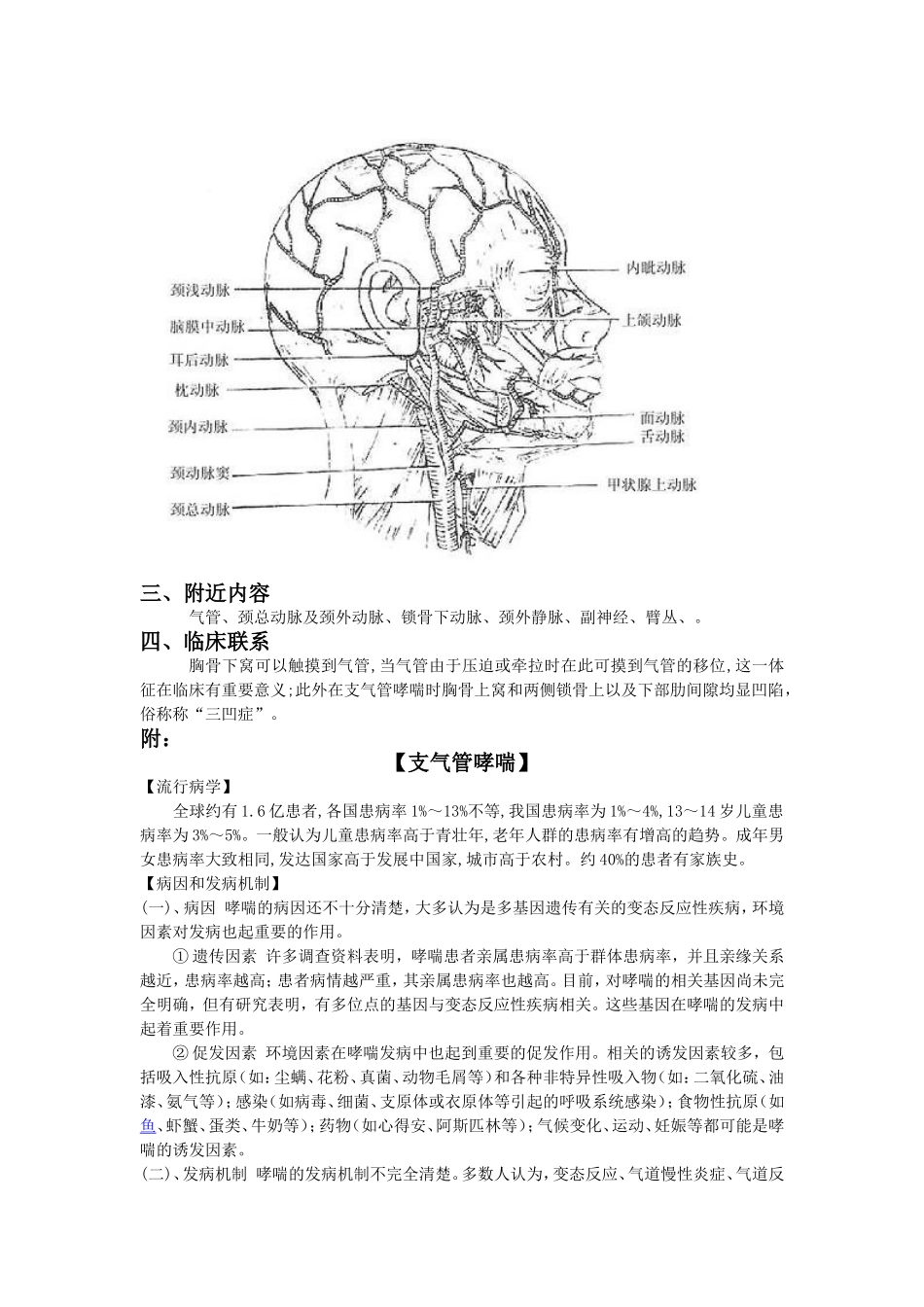 胸骨上窝Microsoft Word 文档_第2页
