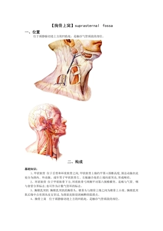 胸骨上窝Microsoft Word 文档