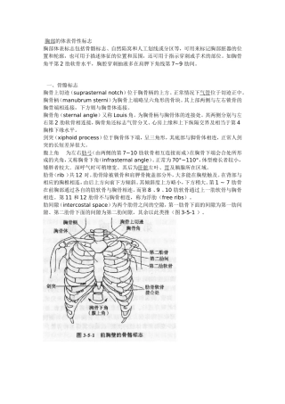 胸部的骨性标志