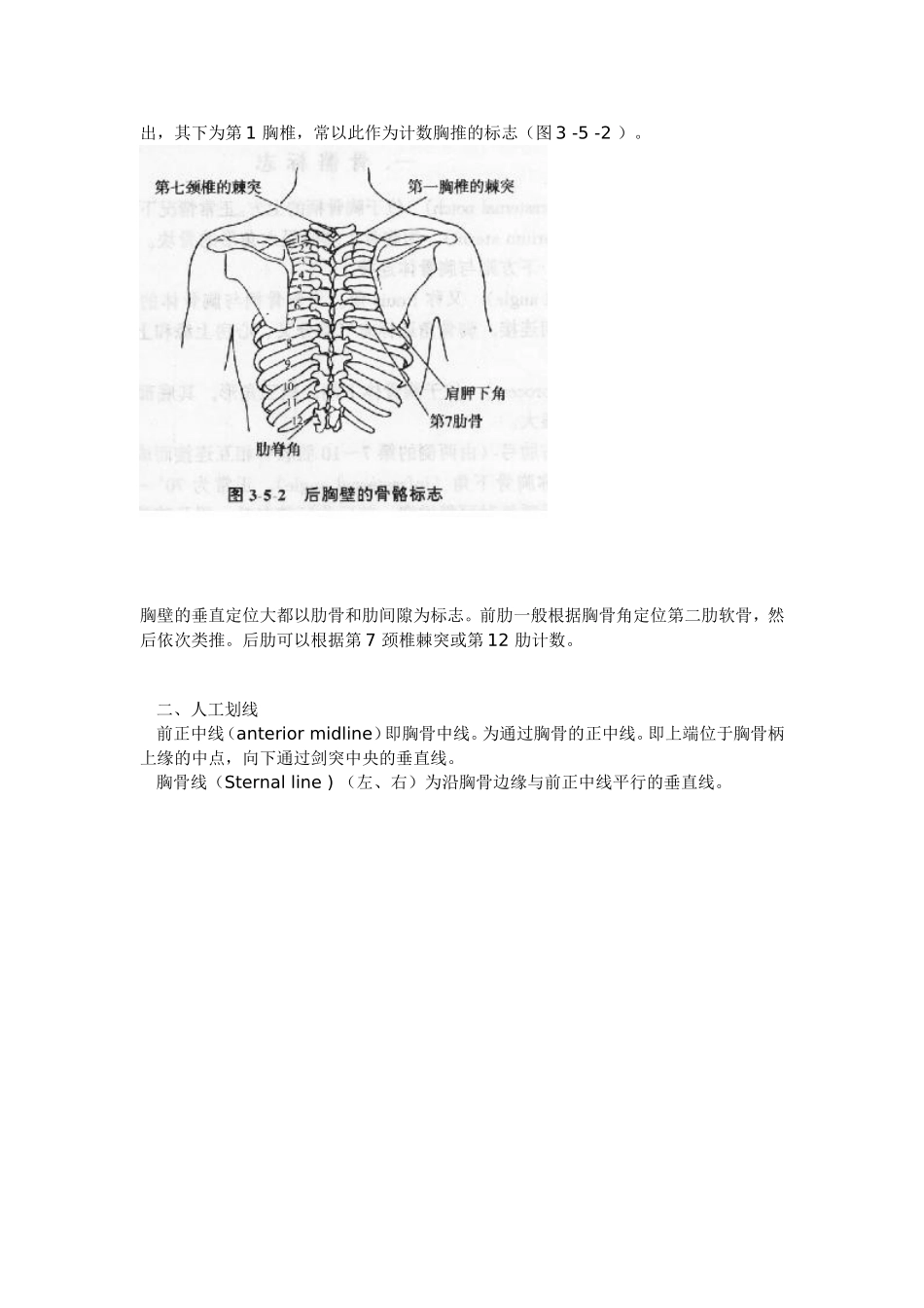 胸部的骨性标志及范围_第3页