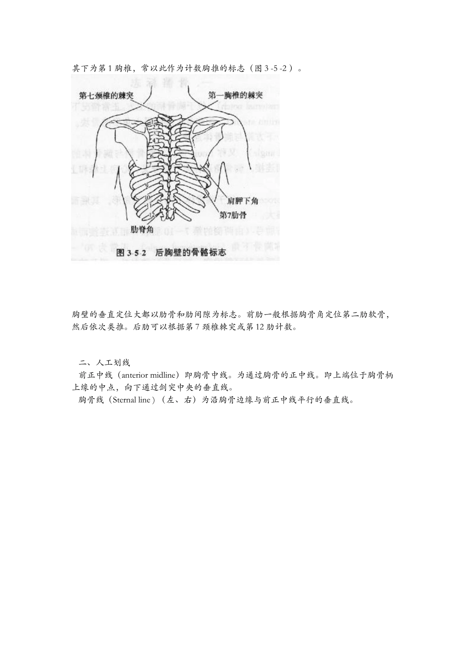 胸部体表标志_第3页