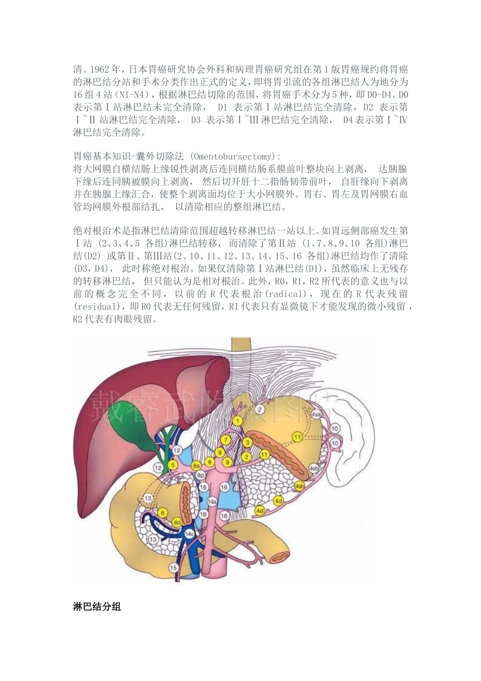 胃癌清扫淋巴结分组图_第2页