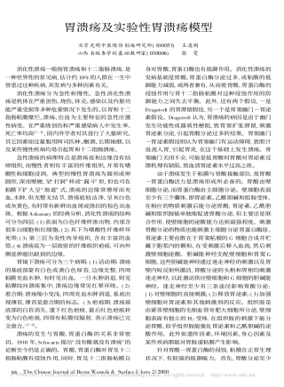 胃溃疡及实验性胃溃疡模型