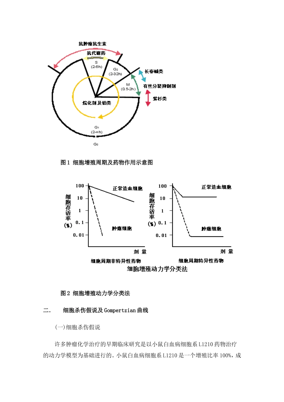 肿瘤化疗总论_第3页