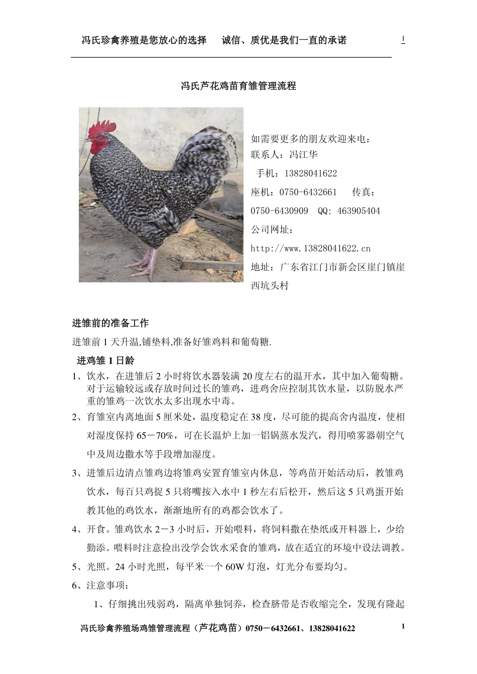 育雏管理流程(芦花鸡苗)_第1页