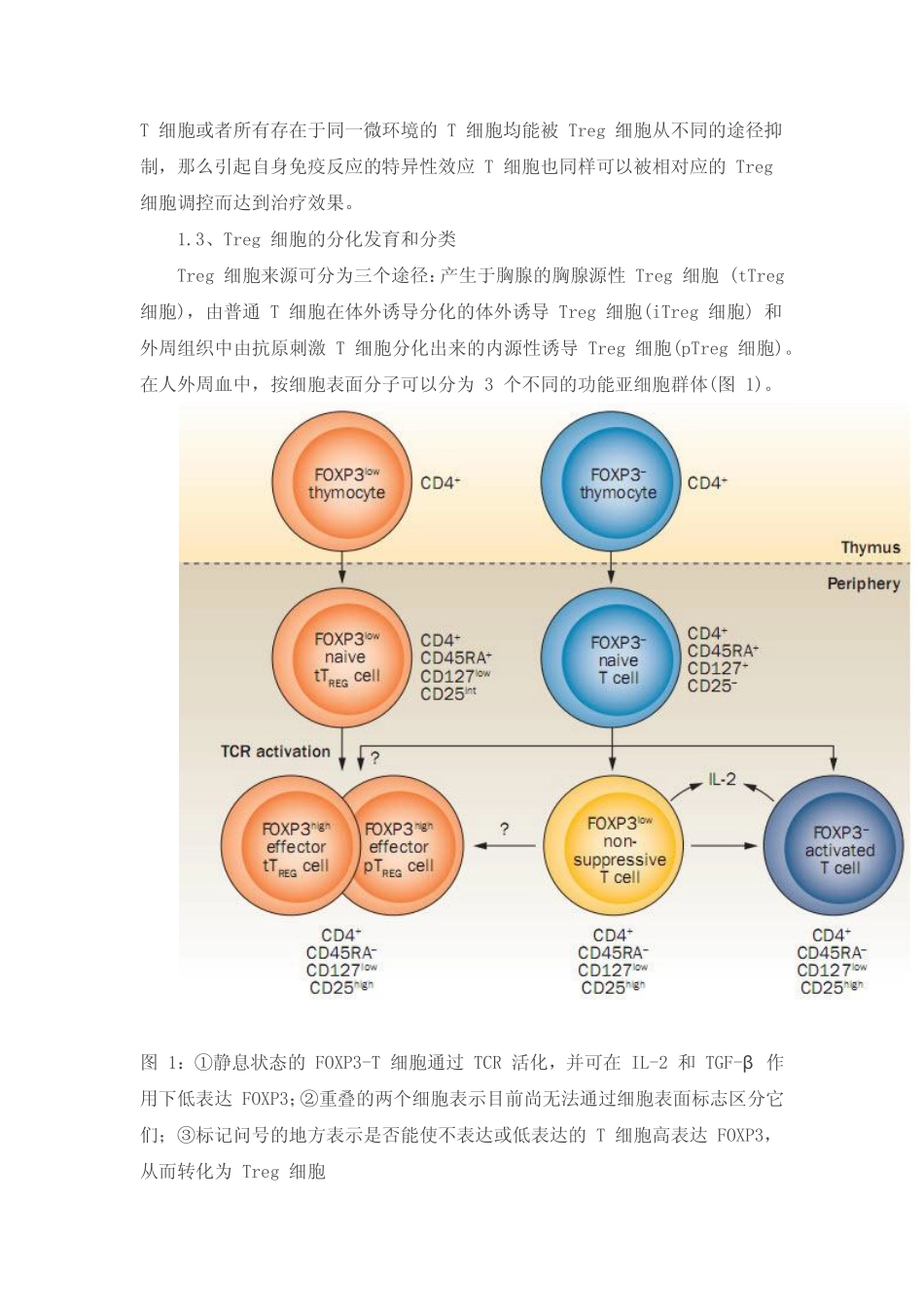 综述：Treg 细胞治疗自身免疫性疾病新策略_第3页