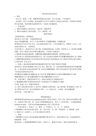 绦虫 线虫寄生虫