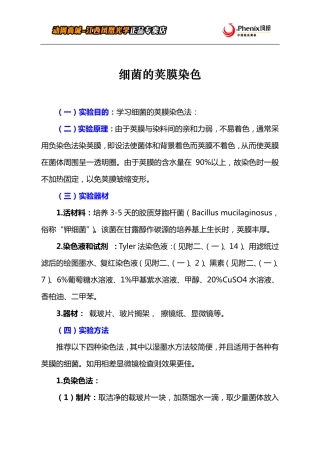 细菌的荚膜染色