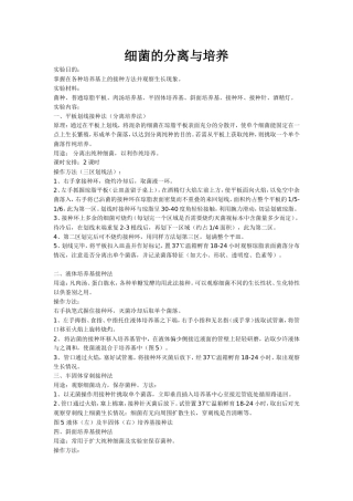 细菌的分离与培养