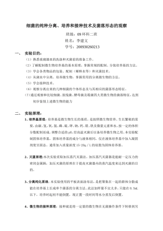 细菌的纯种分离