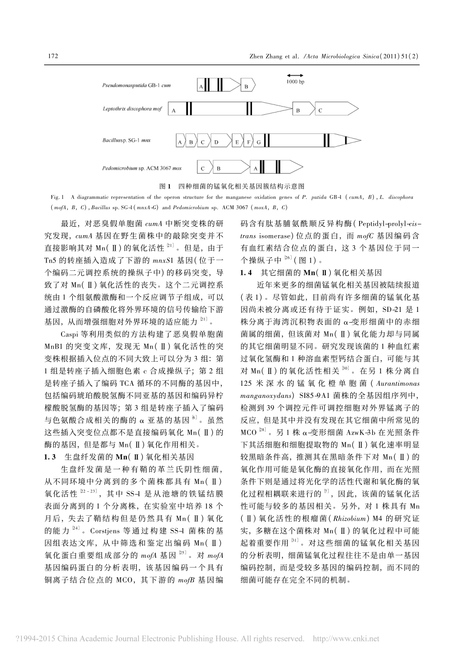 细菌氧化锰的分子机制_第3页