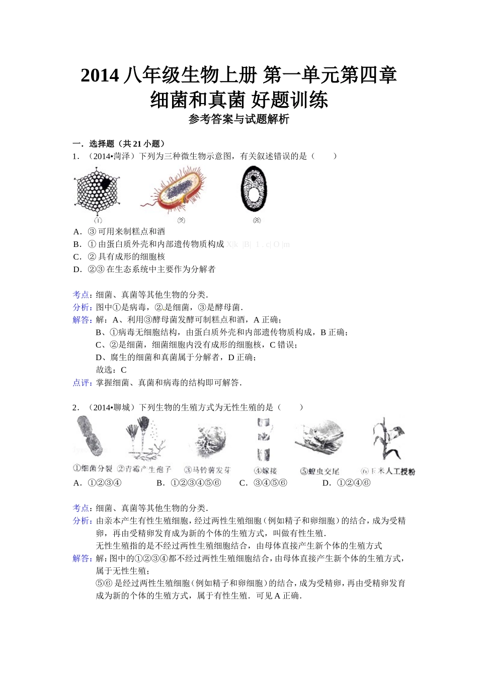 细菌和真菌.doc_第1页