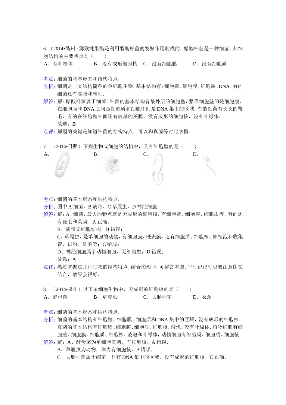 细菌和真菌.doc_第3页