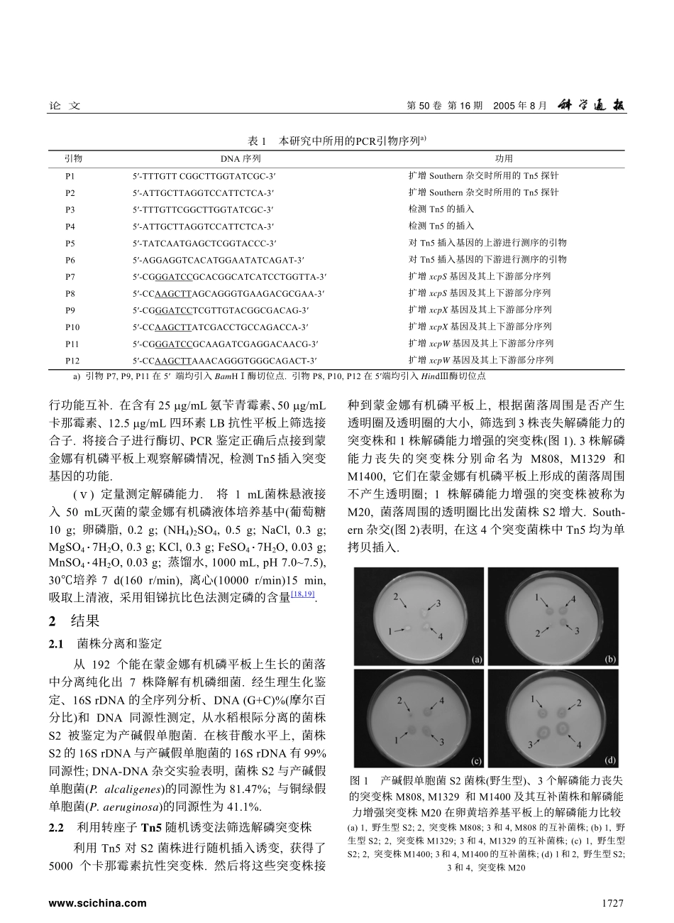 细菌Ⅱ型分泌途径控制产碱假单胞菌 (Pseudomonas alcaligenes) S2中卵磷脂酶的分泌_第3页