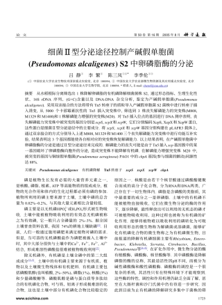 细菌Ⅱ型分泌途径控制产碱假单胞菌 (Pseudomonas alcaligenes) S2中卵磷脂酶的分泌