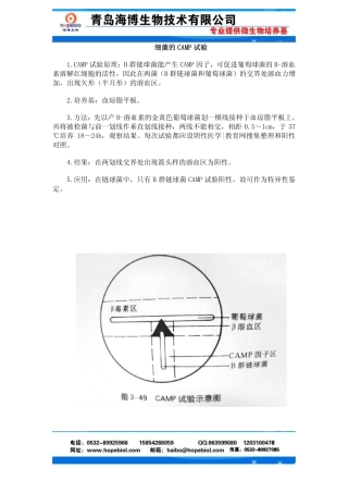 细菌camp试验