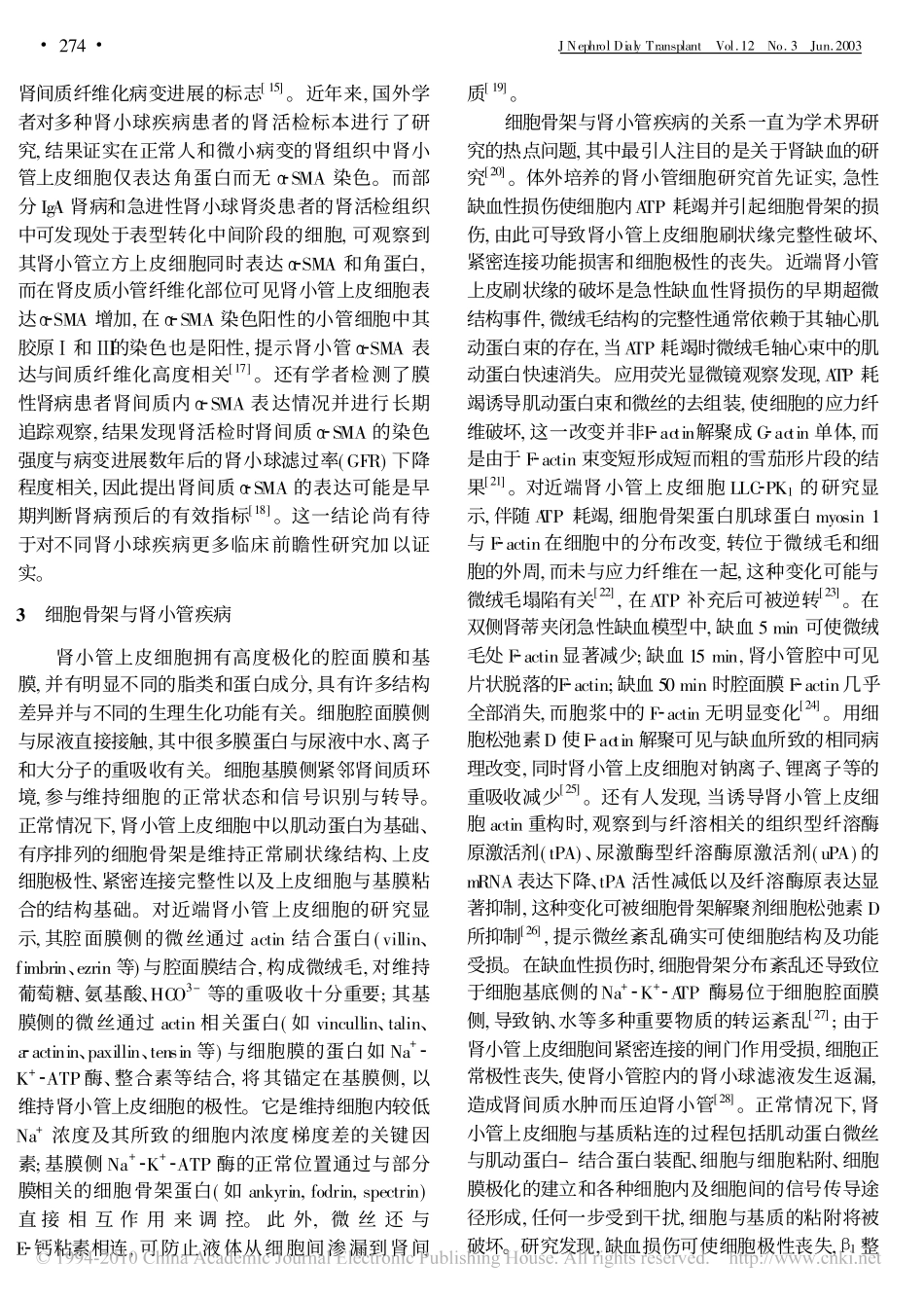 细胞骨架蛋白与肾脏疾病_第3页