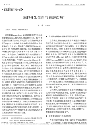 细胞骨架蛋白与肾脏疾病