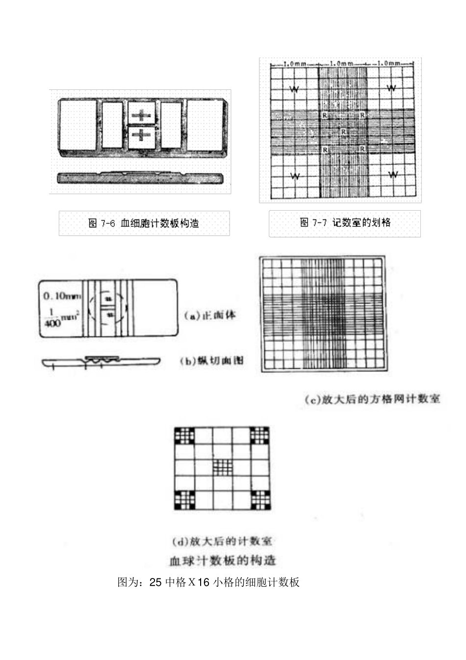 细胞计数方法_第1页
