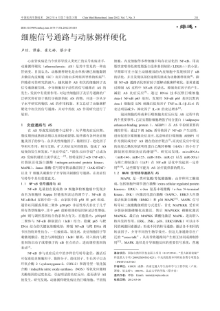 细胞信号通路与动脉粥样硬化